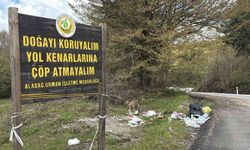 'Çöp atmayın' tabelasının altını çöple doldurdular