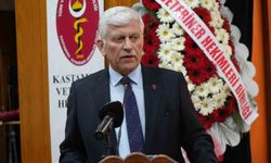 'Veteriner hekimlerin sağlık meslek grubu içinde yer alm
