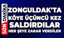 Zonguldak'ta köye üçüncü kez saldırdılar: Her şeye zarar verdiler
