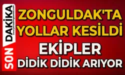 Zonguldak'ta yollar kesildi: Didik didik ekipler arıyor