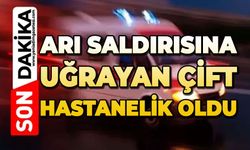 Arı saldırısına uğrayan çift hastanelik oldu