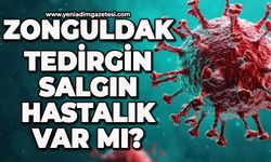 Zonguldak tedirgin: Salgın hastalık var mı?