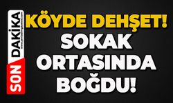 Köyde korku dolu anlar: Sokakta boğdu!