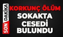 Korkunç ölüm: Sokakta ölü bulundu