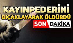 Kayınpederini bıçaklayarak öldürdü