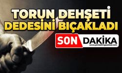 Dedesini acımadan bıçakladı: Durumu ağır