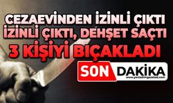 Cezaevinden bayram iznine çıktı dehşet saçtı: 3 kişiyi bıçakladı