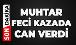Acı haberi geldi: Muhtar feci kazada can verdi
