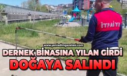 Dernek binasına giren yılanı itfaiye yakalayıp doğaya saldı
