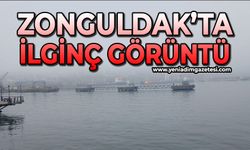 Zonguldak'ta ilginç görüntü