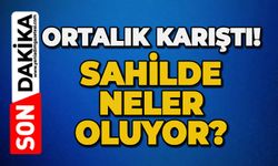 Ortalık karıştı: Sahilde neler oluyor?