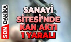 Sanayi Sitesi'nde kan aktı: 1 yaralı