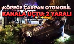 Köpeğe çarpan otomobil kanala uçtu: 2 yaralı