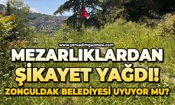 Mezarlıklardan şikayet yağdı! Zonguldak Belediyesi uyuyor mu?
