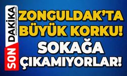 Zonguldak’ta büyük korku: Geceleri sokağa çıkamaz oldular