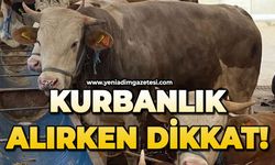 Uzmanından uyarı 'Kurbanlık alırken dikkat edin'