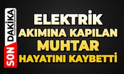 Elektrik akımına kapılan muhtar hayatını kaybetti