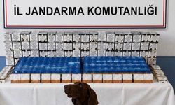 Kaçakçılık operasyonu: 2 gözaltı