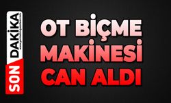 Ot biçme makinesi can aldı