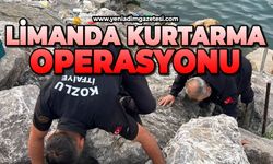 Limanda kurtarma operasyonu