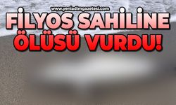 Filyos sahiline ölüsü vurdu!