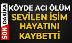 Köye acı haberi geldi: O isim hayatını kaybetti