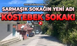 Sarmaşık sokağın yeni adı köstebek sokak!