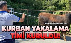 Kurban yakalama timi kuruldu!