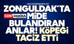 Zonguldak’ta mide bulandıran anlar! Köpeği taciz etti