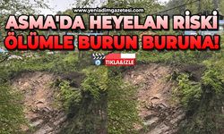 Asma'da heyelan riski: Ölümle burun buruna!