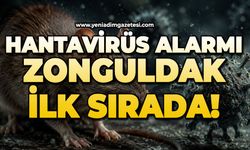 Hantavirüs allarmı: Zonguldak ilk sırada!