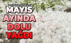 Dolu yağışı etkili oldu