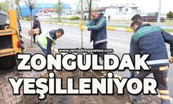 Zonguldak yeşilleniyor