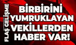 Birbirini yumruklayan vekillerden haber var!