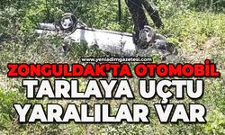 Zonguldak'ta otomobil tarlaya uçtu: Yaralılar var