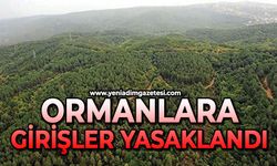 Ormanlara giriş yasağı getirildi