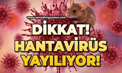 Dikkat: Hantavirus uyarısı!