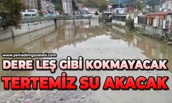 Dere leş gibi kokmayacak: Termemiz su akacak