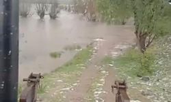 Sağanak yağış dereleri taşırdı: Bahçe ve ahırlar sular altında kaldı