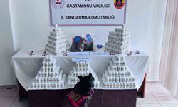 Binlerce hap ve uyuşturucuyla yakalandı