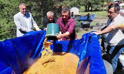 Bir asırdır süren geleneksel Şimşir bayramı düzenlendi