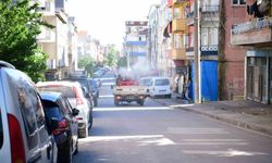 Daha rahat bir yaz için vektörle mücadeleye hız verildi