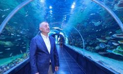 Dev akvaryum kapılarını açıyor