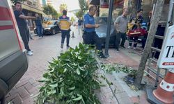 Fren yerine gaza bastı