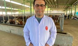Kene tehdidine dikkat: 200'den fazla hastalık etkeni taşıyabiliyor