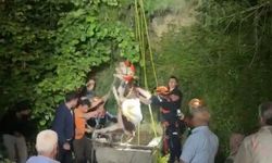Su kuyusuna düşen inek, saatler süren çalışma sonrasında kurtarıldı