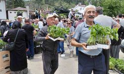 Ücretsiz fide dağıtımına yoğun katılım