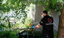 Vatandaşlara, Asya Kaplan sivrisineği uyarısı