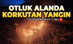 Otluk alan alev alev yandı