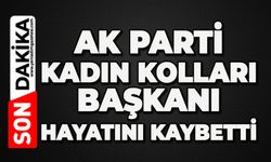 AK Parti Kadın Kolları Başkanı hayatını kaybetti